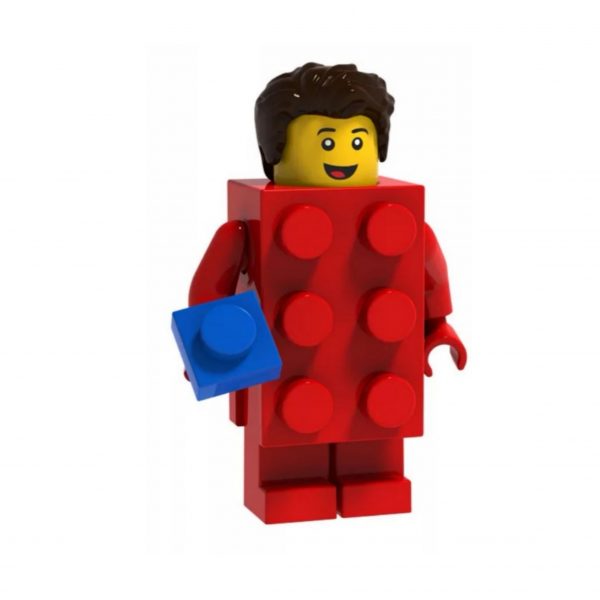 Lego Guy Bricks