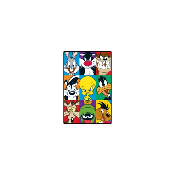 Looney Tunes Fridge Magnet