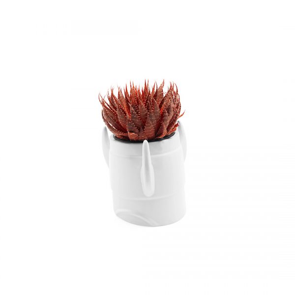 Rocket Planter - Image 4