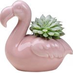 Flamingo Pot