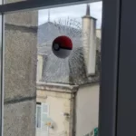 Pokeball Window Crack - Image 3