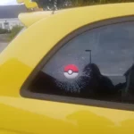 Pokeball Window Crack - Image 2