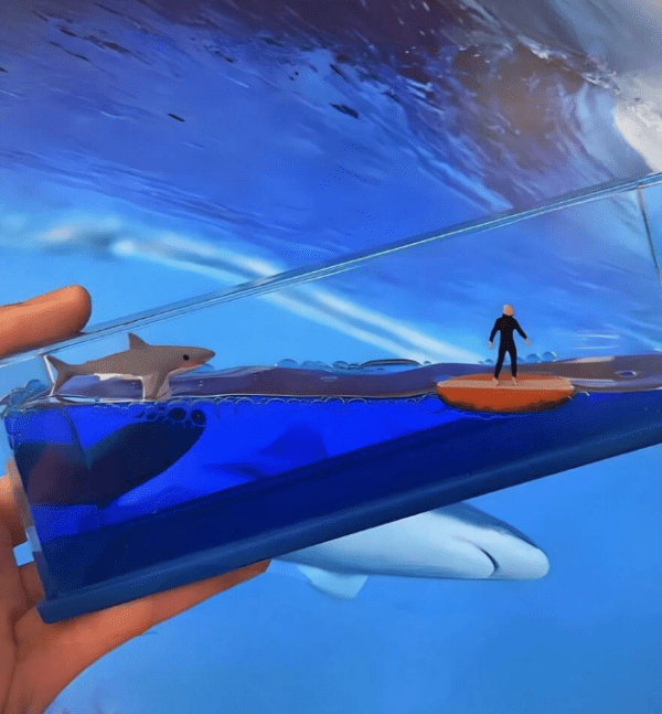 Shark Vs Sea Waves