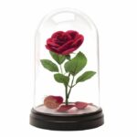 Beauty and the Beast Rose Light